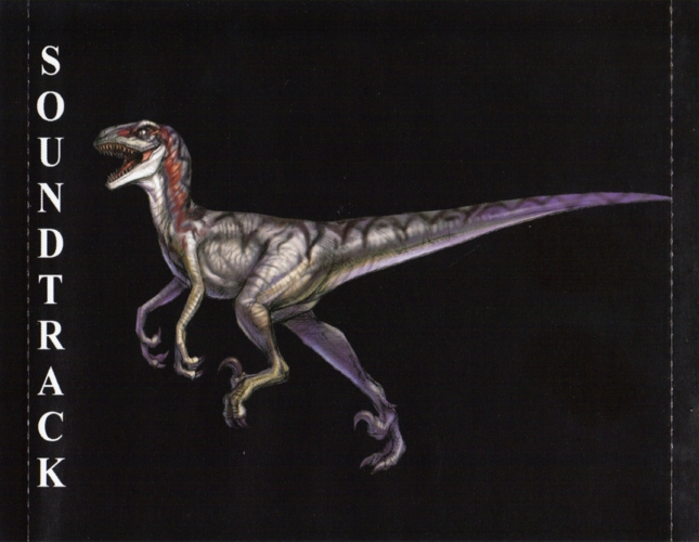 Reverse of back insert