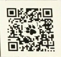 Back of media assets link card