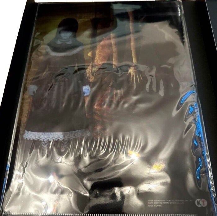 Clear file 2 inside box