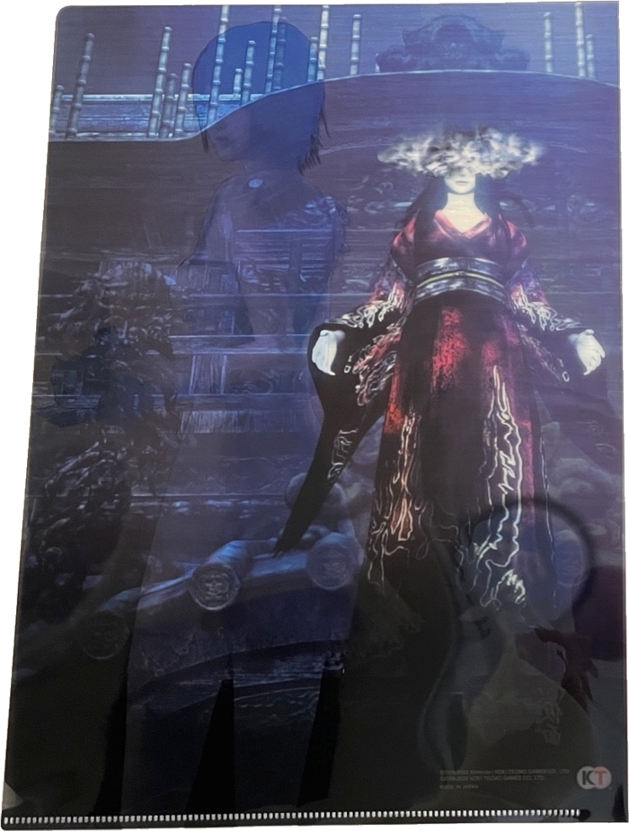 Back of clear file 1
