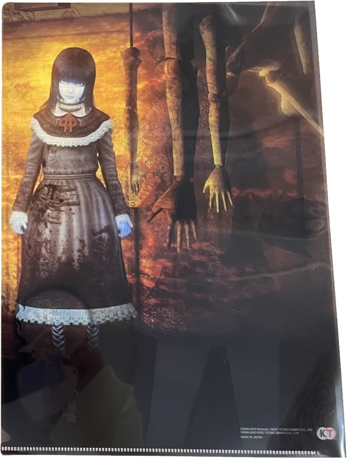 Back of clear file 2