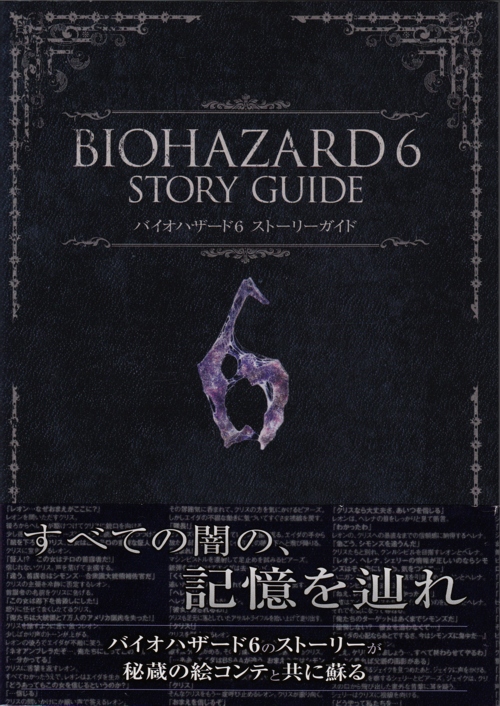 Front of slipcover with obi