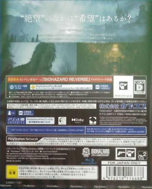 Back of Biohazard Village (Z Version)