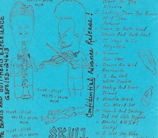 The Beavis And Butt-Head Experience